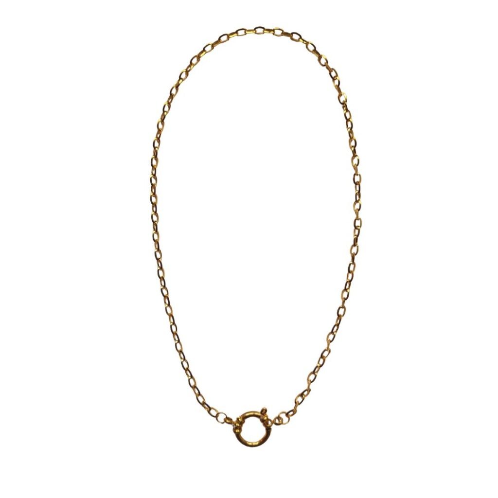 Clasp link necklace