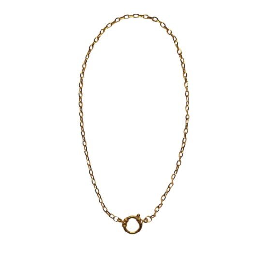 Clasp link necklace